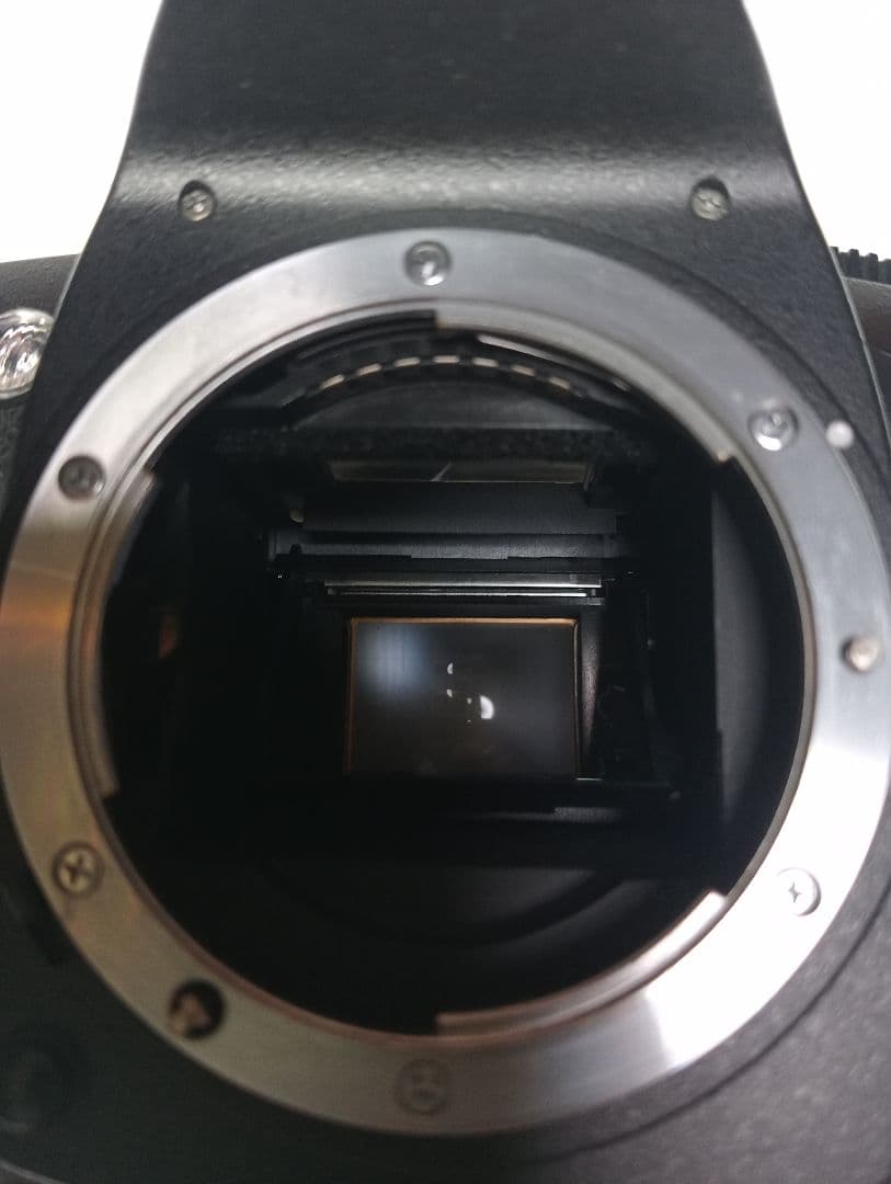 Nikon D70 デジタル一眼レフカメラ 本体