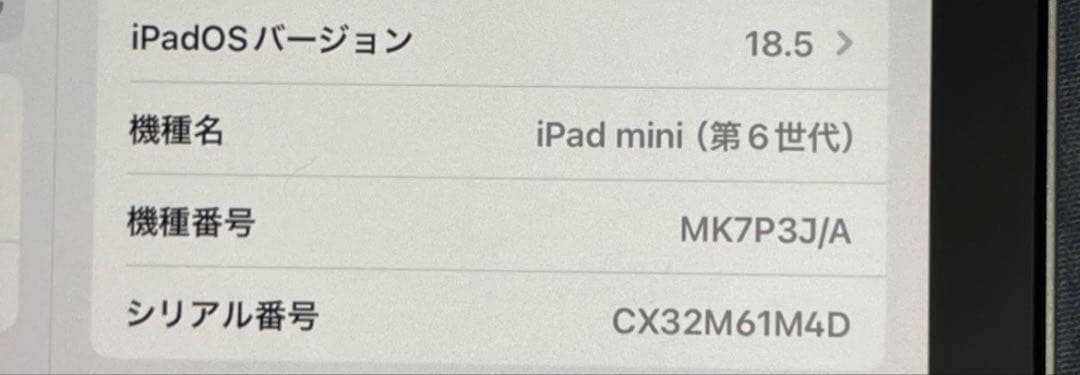 t*a様 iPad mini（第6世代） Wi-Fiモデル 64GB 箱無