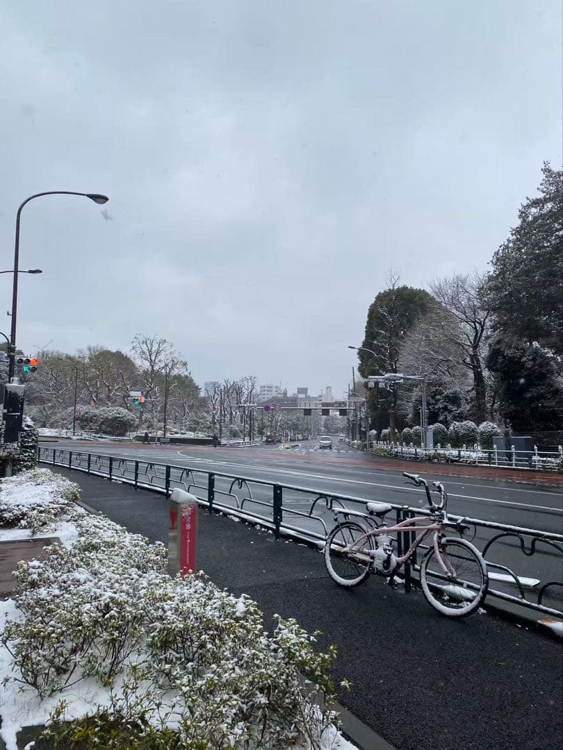 ミキハウススニーカー17HOT BISCUITSスニーカー　兎　キッズスニーカー