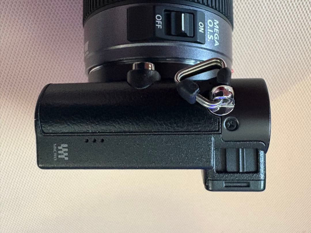 Panasonic パナソニック LUMIX DMC-GM5（ブラック）